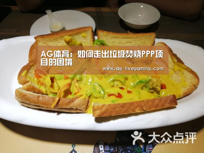 AG体育:如何走出垃圾焚烧PPP项目的困境(图1) AG真人娱乐