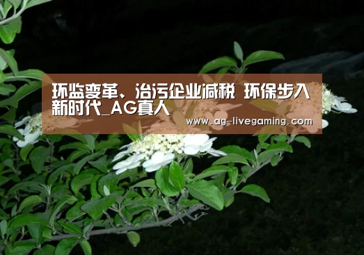 环监变革、治污企业减税 环保步入新时代_AG真人(图2) AG亚游